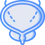 Bladder 图标 64x64