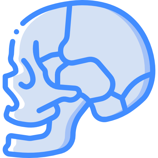 Skull icon