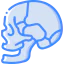 Skull 图标 64x64