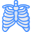 Sternum 图标 64x64