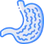 Stomach 图标 64x64