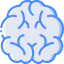 Brain 图标 64x64