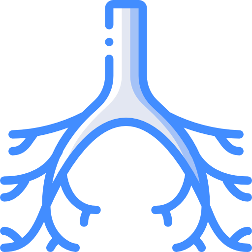 Bronchi icon