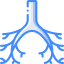 Bronchi 图标 64x64