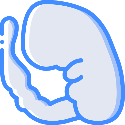 Embryo icon