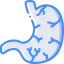 Stomach 图标 64x64