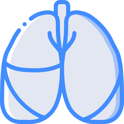 Lungs icon