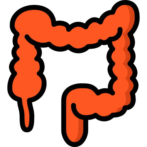 Colon icon