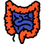 Intestines icon 64x64