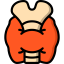 Thyroid gland icon 64x64