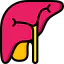 Liver icon 64x64