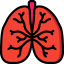 Lungs icon 64x64