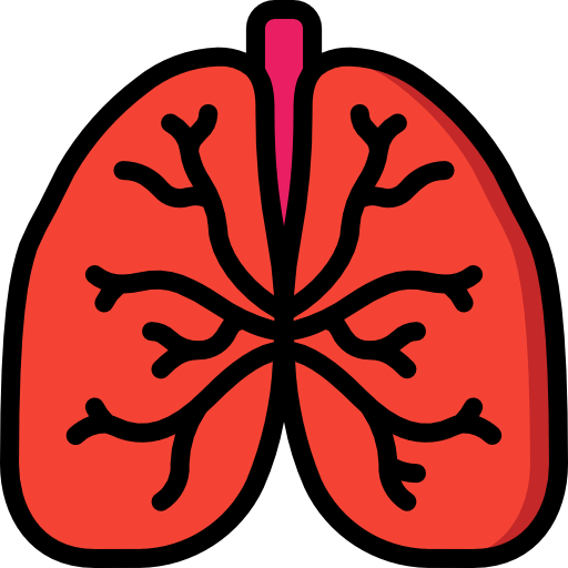 Lungs icon