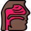Nasal icon 64x64