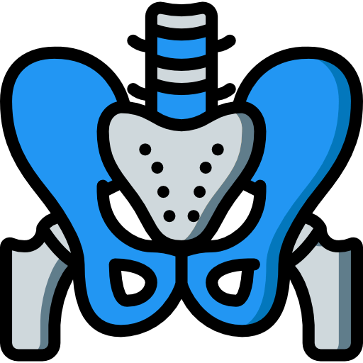 Pelvis icon