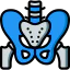 Pelvis icon 64x64