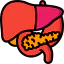 Liver icon 64x64