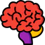 Brain icon 64x64