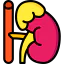 Adrenal gland icon 64x64