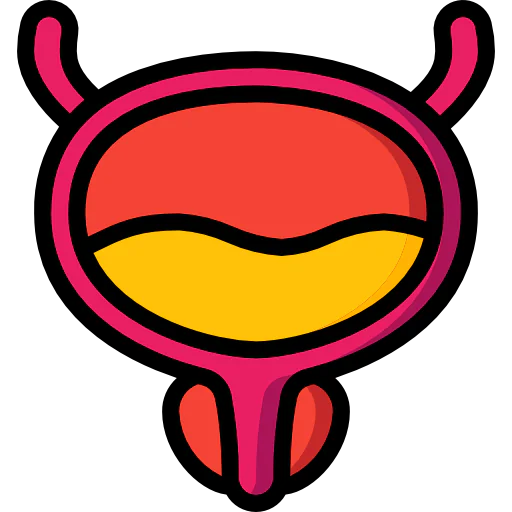 Bladder icon