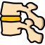 Vertebra icon 64x64