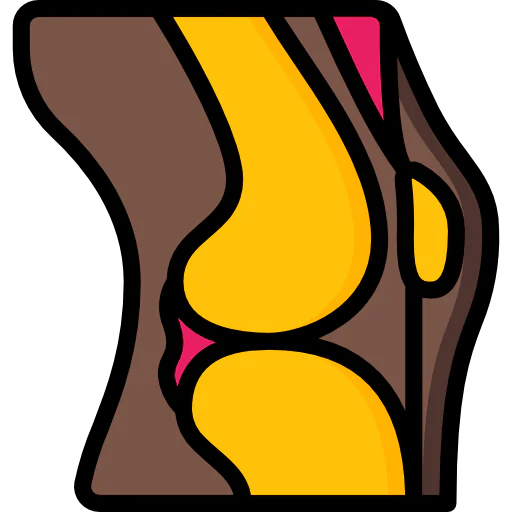 Knee icon