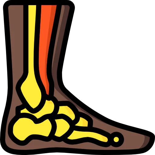 Ankle icon