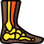 Ankle icon 64x64