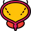 Bladder アイコン 64x64