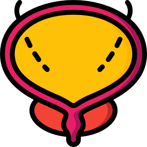 Bladder icon