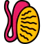 Testis icon 64x64