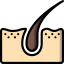 Dermis icon 64x64