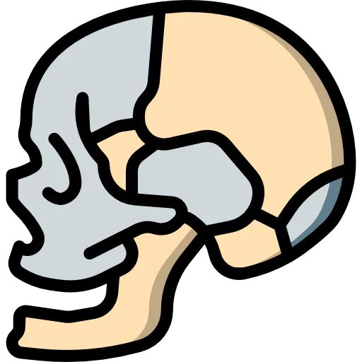 Skull icon