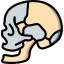 Skull icon 64x64