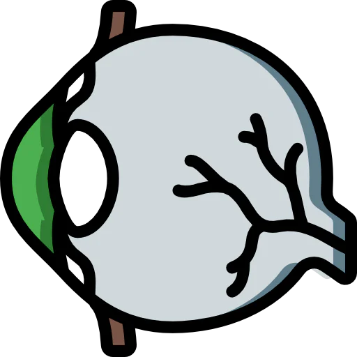 Eye icon