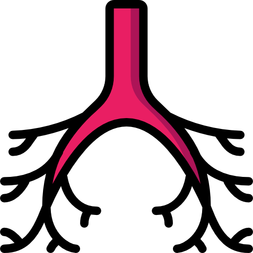 Bronchi icon