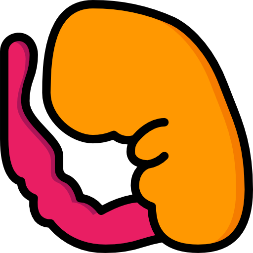 Embryo icon