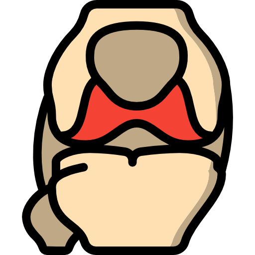 Knee icon