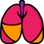 Lungs icon 64x64