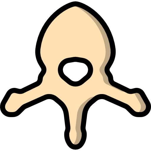 Vertebra icon
