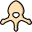 Vertebra icon 64x64
