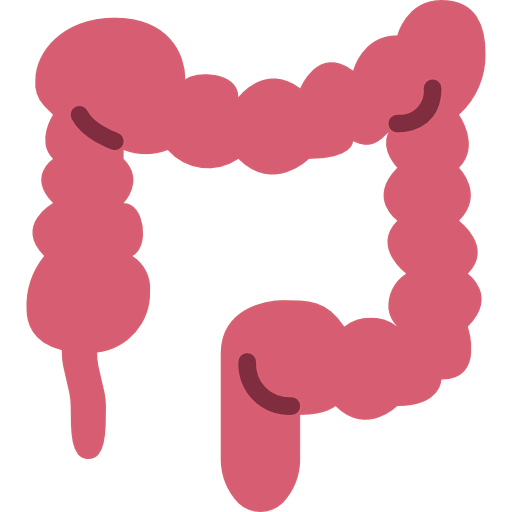 Colon icon