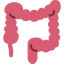 Colon ícono 64x64