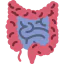 Intestines icon 64x64