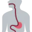 Esophagus 상 64x64