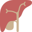 Liver icon 64x64