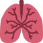 Lungs icon 64x64