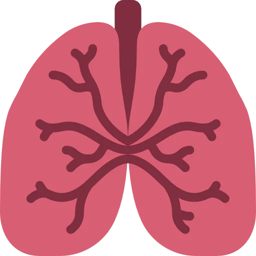 Lungs icon