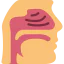 Nasal icon 64x64