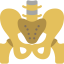 Pelvis icon 64x64